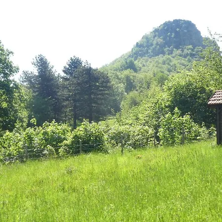 Cascina Marasca Viola