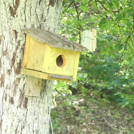 Apartamento Cascina Marasca Viola