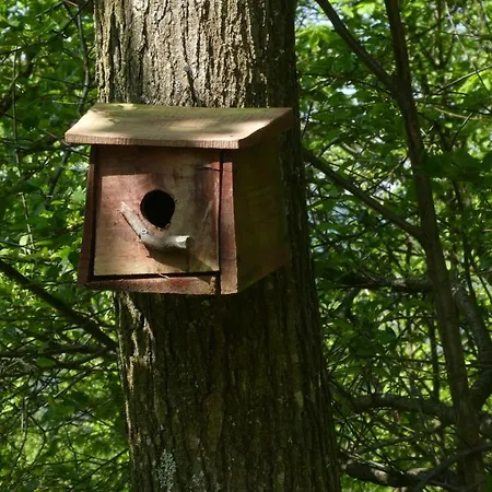 Cascina Marasca Viola Lejlighed Martina Olba