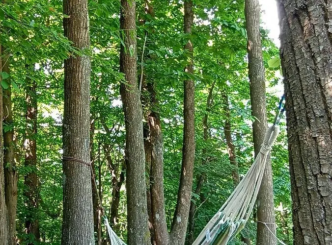 Apartamento Cascina Marasca Viola *