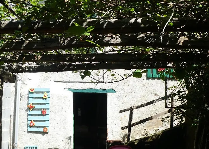 Cascina Marasca Viola