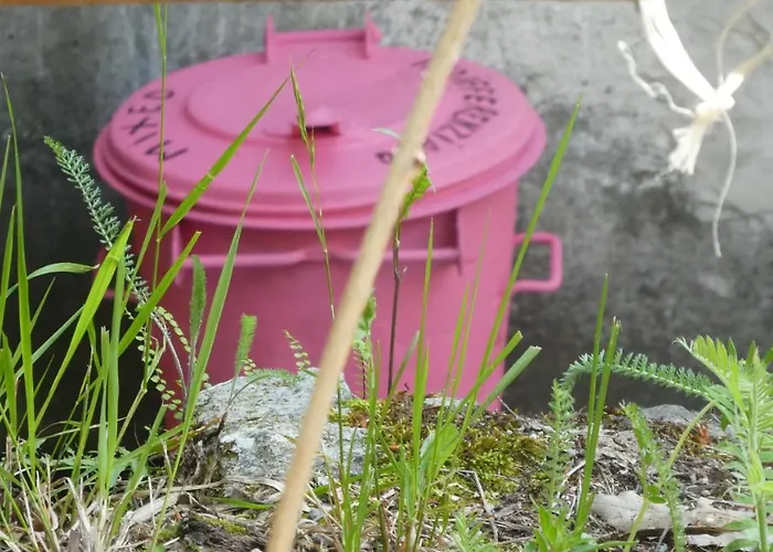 Cascina Marasca Viola Martina Olba