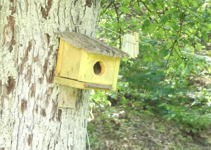 דירה Cascina Marasca Viola